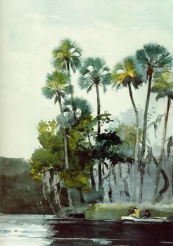 Winslow Homer : Homosassa River II